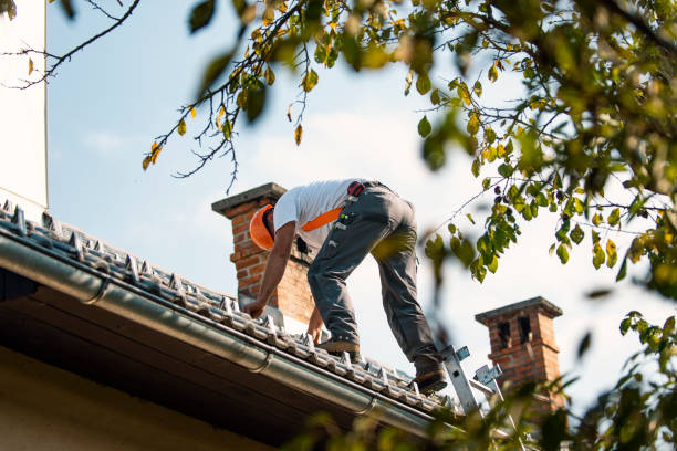 Professional Roofing Contractor in Mcalmont, AR