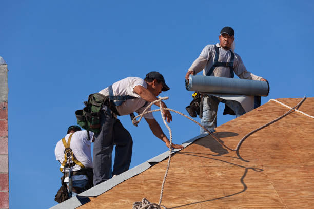 Gutter Installation and Roofing in Mcalmont, AR