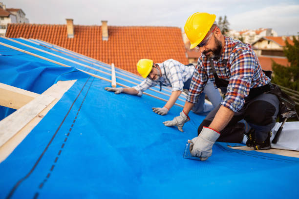 Best Metal Roofing Contractor  in Mcalmont, AR