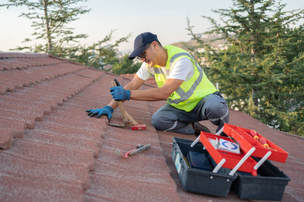 Best Best Roofing Contractors  in Mcalmont, AR