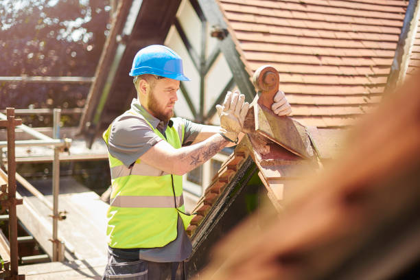 Best Metal Roofing Contractor  in Mcalmont, AR