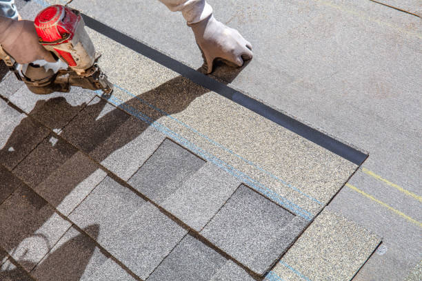 Best Roof Leak Repair  in Mcalmont, AR