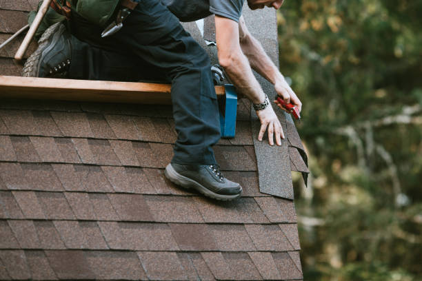 Best Gutter Installation and Roofing  in Mcalmont, AR