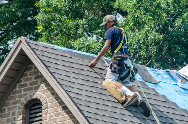 Quick and Trustworthy Emergency Roof Repair Services in Mcalmont, AR